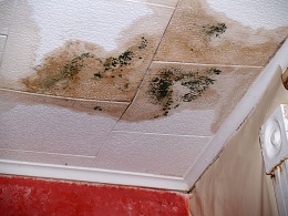 Water Damage to Ceiling and Insurance